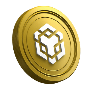 Criptomoneda BNB dentro de la página de guía para trader principiante